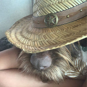 Meet your Posher, Kylie